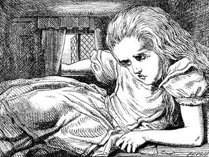 /pliki/zdjecia/ala 2.jpg